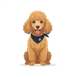 Poodle